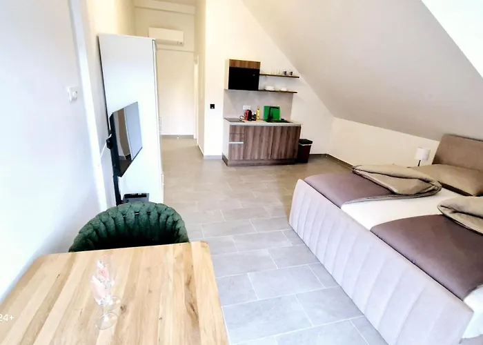 Lenkev Living Aparts, Free Parking! *